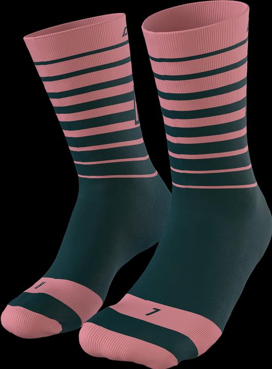 Image du produit Dynafit Chaussettes Live To Ride (43 - 46)
