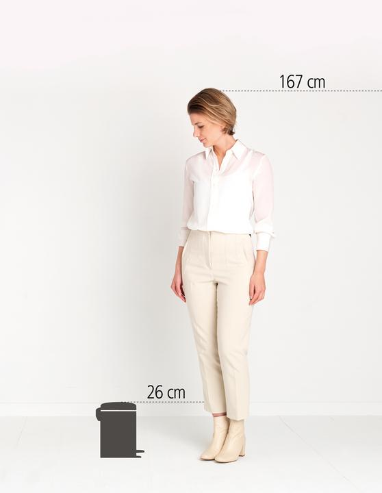 Actual product image Brabantia Pedal bin (3 l)