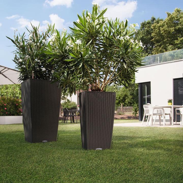 Produktbild Lechuza Cubico Cottage (29.50 cm)