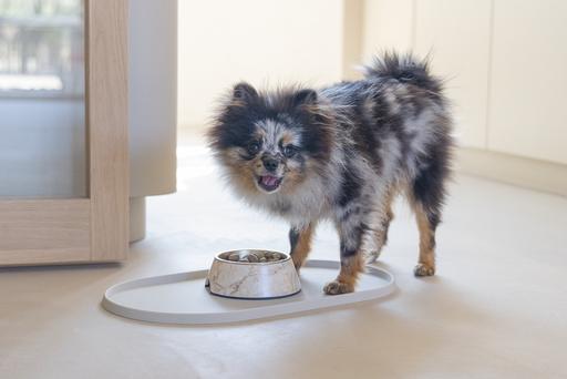 Actual product image Designed by Lotte Dog bowl Meis (0.16 l)