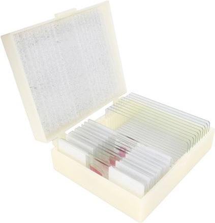 Immagine prodotto Konus Set di preparazione Corpo umano (25 pezzi)