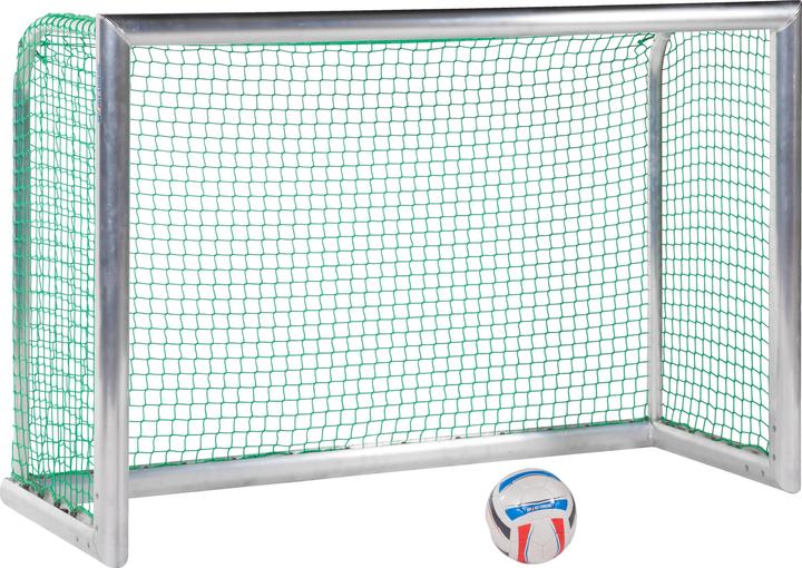 Sport-Thieme Mini-Trainingstor Professional Kompakt, Alu-Naturblank
