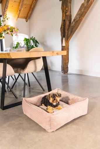 Actual product image Designed by Lotte Ribbed (Dog)