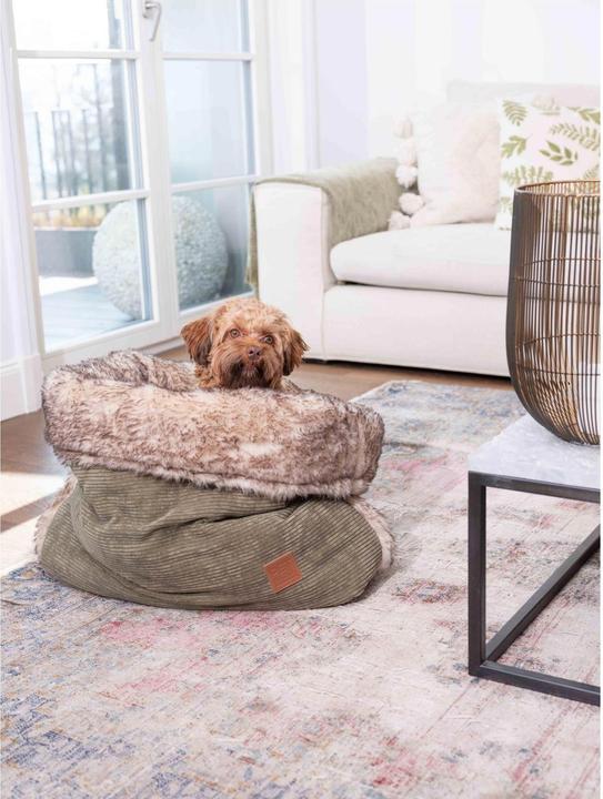 Immagine prodotto Pet & Co. Borsa Snuggle Cord Sand M (Cane)