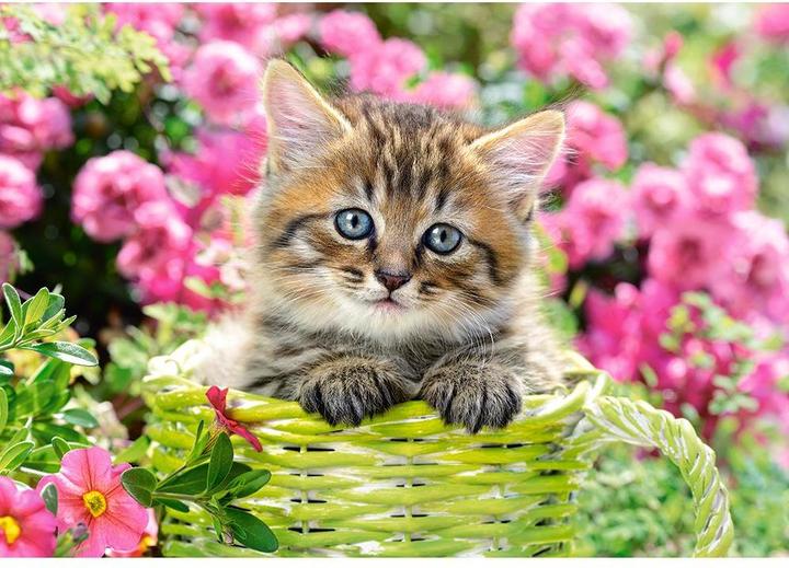 Immagine prodotto Castorland Gattino nel giardino fiorito, puzzle 500 pezzi (500 pezzi)
