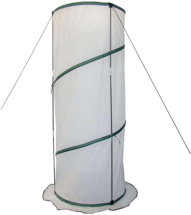 Immagine prodotto Colibri Pop-Up