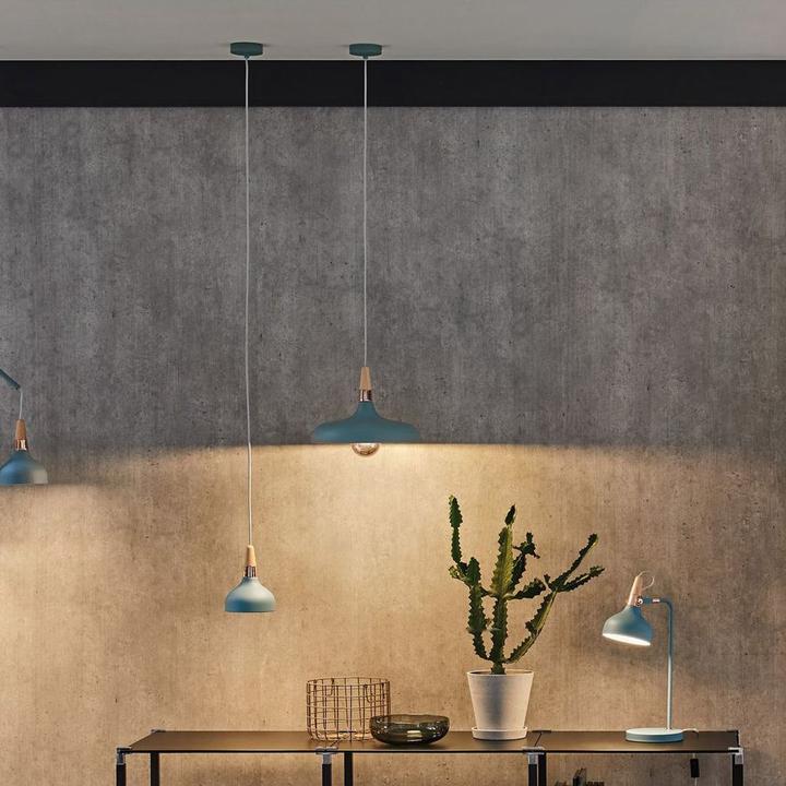 Actual product image Paulmann Neordic Juna (E27)
