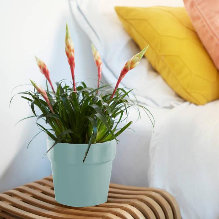 Actual product image Elho Flowerpot (18 cm)