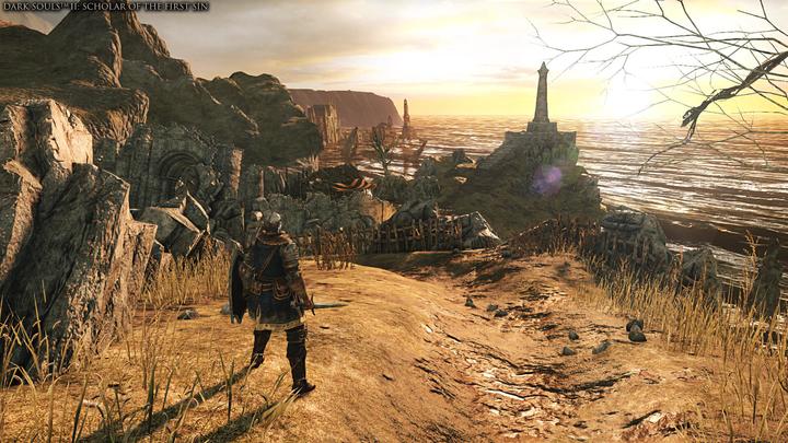 Actual product image Bandai Namco Sony Ps4 Game Dark Souls Trilogy (PS4)