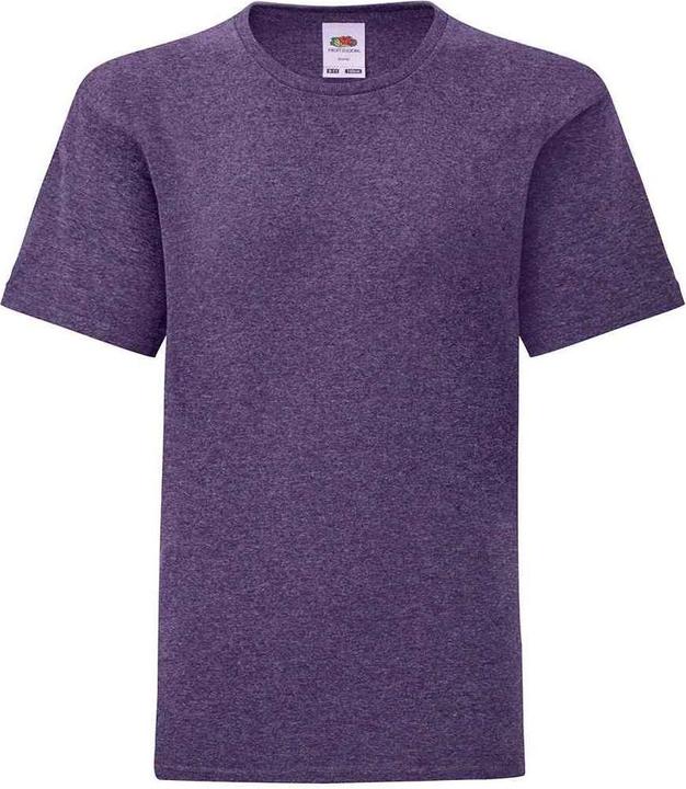 Fruit of the Loom Iconic TShirt