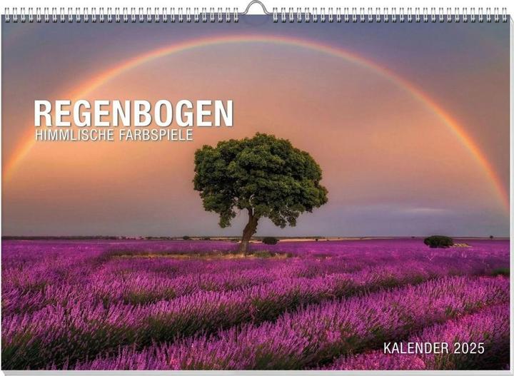 Actual product image Rainbow Premium Calendar 2025 (60 x 42 cm, German)