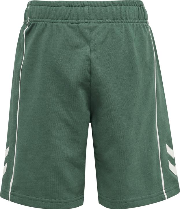 Actual product image hummel Hmldexter Shorts (134)
