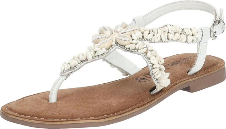 Combi blanc