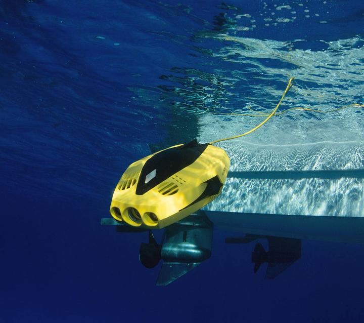 Produktbild Chasing Dory