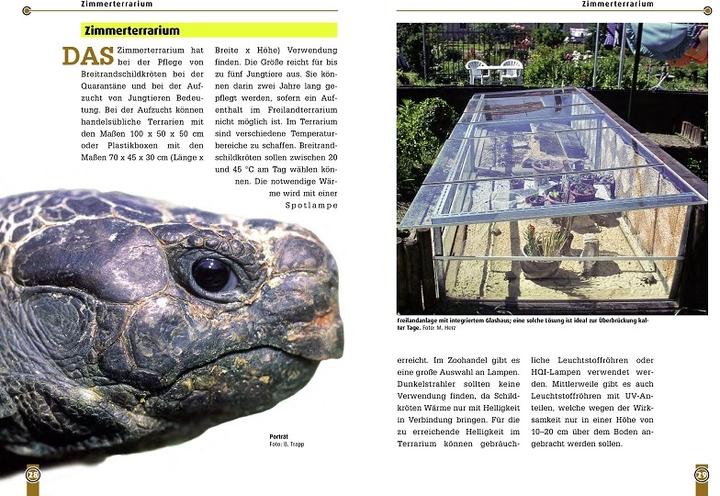 Produktbild Die Breitrandschildkröte (Deutsch, Mario Herz, 2023)