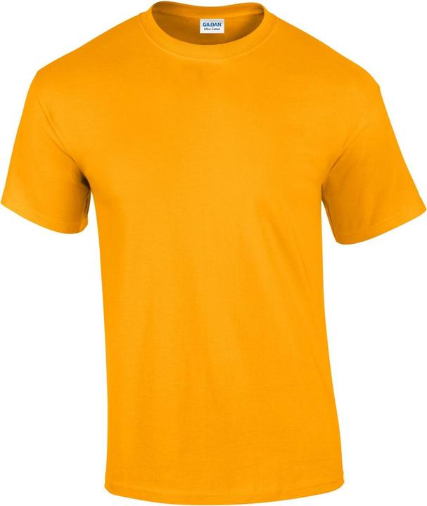 Gildan TShirt (M)