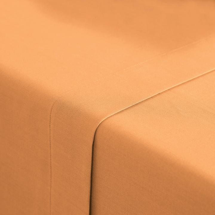 Produktbild La Redoute Interieurs Scenario Coton (240 x 290 cm)