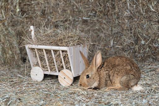 Actual product image Karlie Hay rack Bollwagen Carro