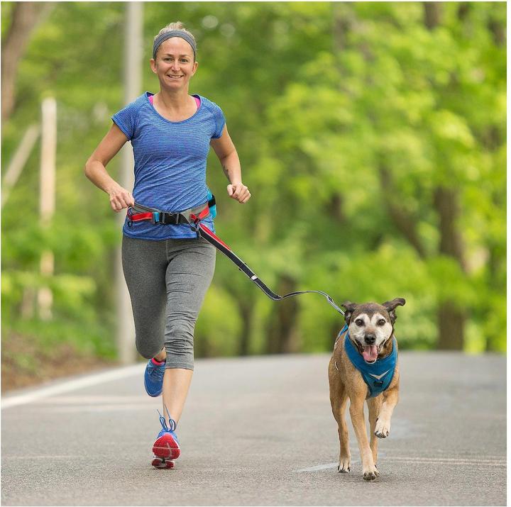 Image du produit Kurgo Leash Springback (Chien, Jogging)