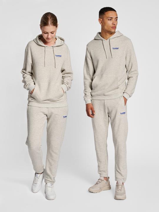 Actual product image hummel Lgc Austin Hoodie (XXL)