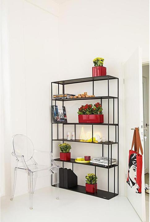 Immagine prodotto Lechuza Cubo lucido Triplo (14 cm)