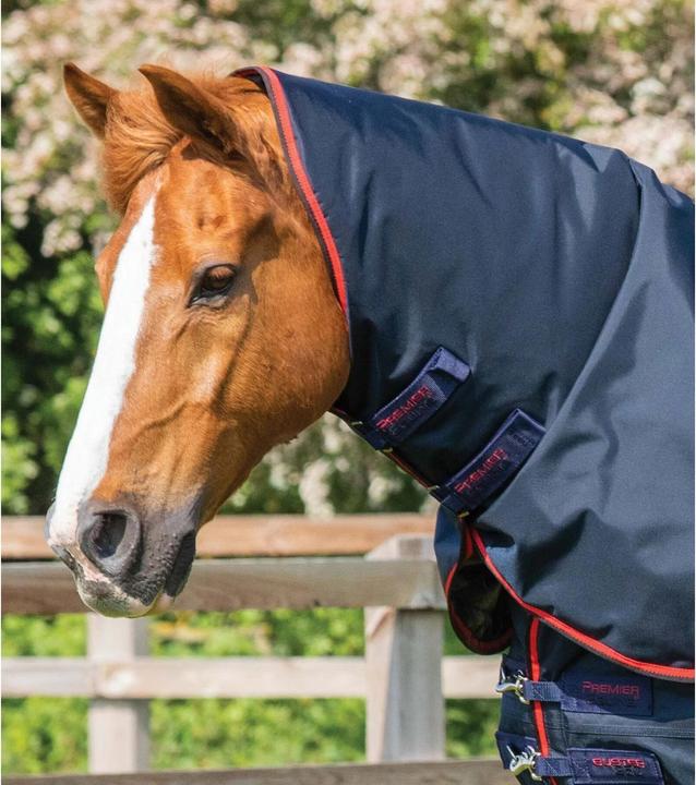 Produktbild Premier Equine Buster 250 g (183 cm)