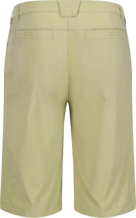 Image du produit Regatta - Short de marche HIGHTON - Homme (44 D)