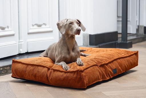Actual product image Designed by Lotte Ribbed Cushion (Dog)