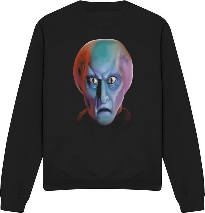 Produktbild Sweatshirt (L)
