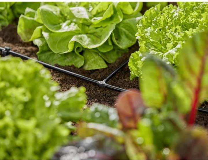 Actual product image Gardena T-piece 4.6 mm (Drip irrigation connector + branch)