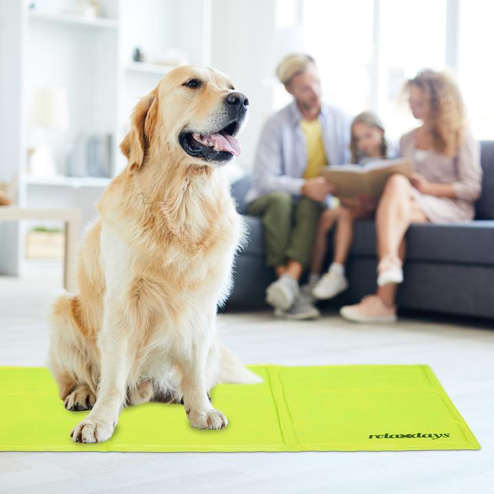 Actual product image Relaxdays Cooling mat dog (Dog)