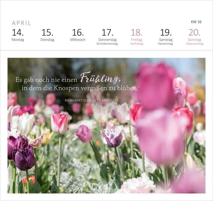 Produktbild POSTK.KALENDER 365 TAGE SONNE (17 x 17 cm, Harter Einband, Deutsch)
