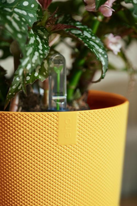 Actual product image Elho Jazz (26 cm)