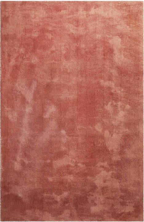 Russet