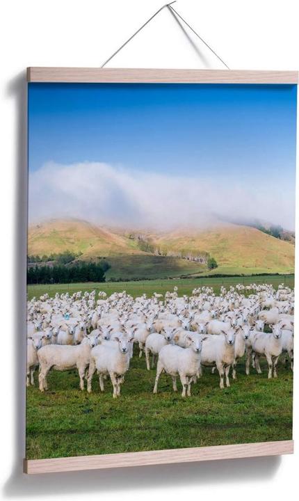 Produktbild Trenddeko Schafherde in Neuseeland (80 x 100 cm)