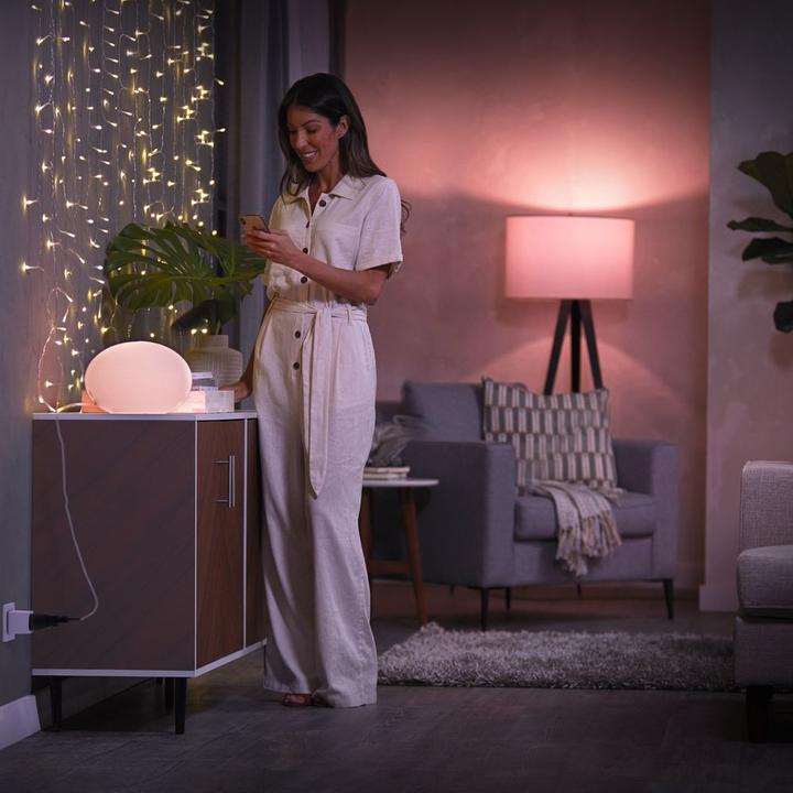Actual product image Philips Hue Smart Plug