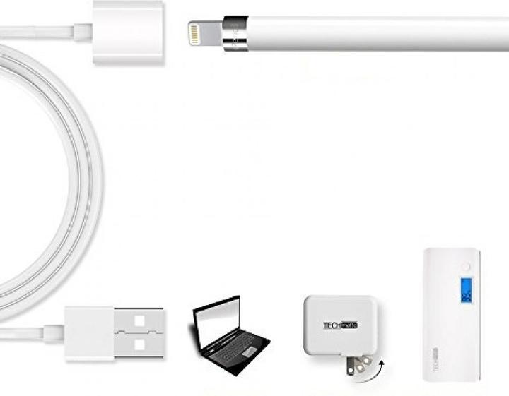 Actual product image PowerGuard USB charging cable with Lightning connector for Apple Pencil stylus (USB 3.2 Gen 1)