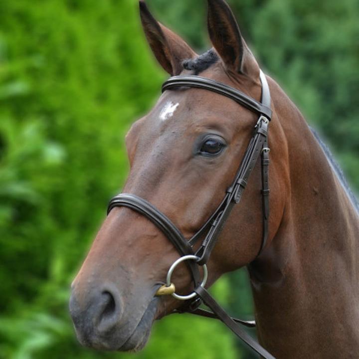 Actual product image Hy Padded Cavesson Bridle With Rubberised Reins