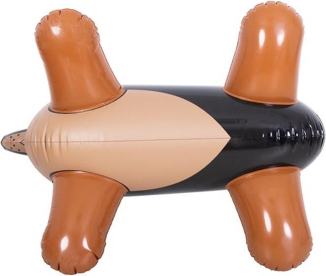 Image du produit Jilong Pompe SUP