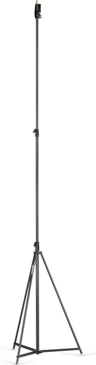 Manfrotto Tall Cine (380 cm, 25 kg)