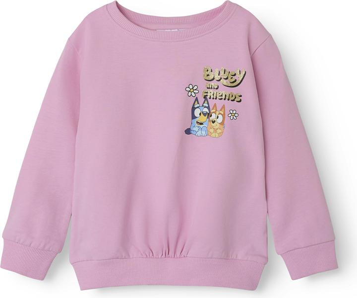 Name it Bluey Sweatshirt