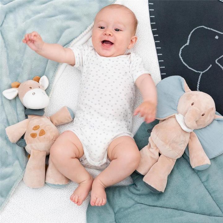 Actual product image Nattou Luna the giraffe (30 cm)