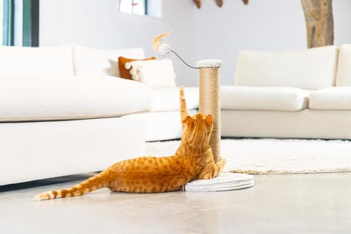 Actual product image Designed by Lotte Scratching post (50 cm, Light grey)