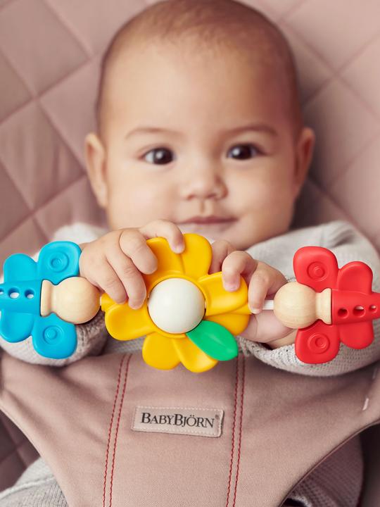 Produktbild BabyBjörn Fliegende Freunde