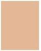 Immagine prodotto Sisley Stylo Lumière (3 Beige tenue, Highlighter)