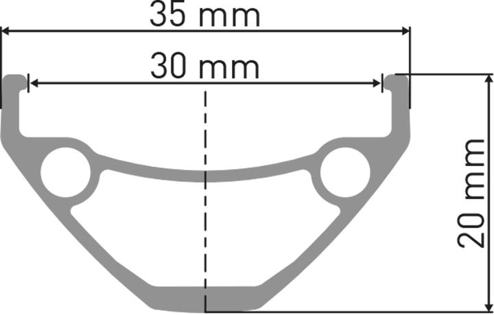 Actual product image DT Swiss E 593 (29")