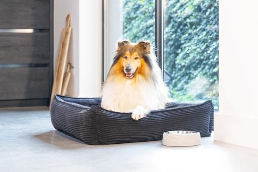 Image du produit Designed by Lotte Ribbed (Chien)