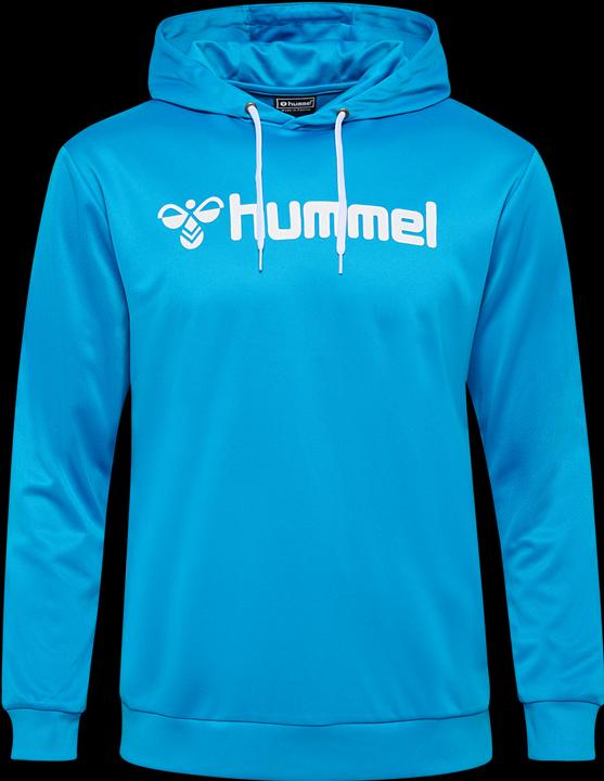 Actual product image hummel hmlLOGO HOODIE (XL)