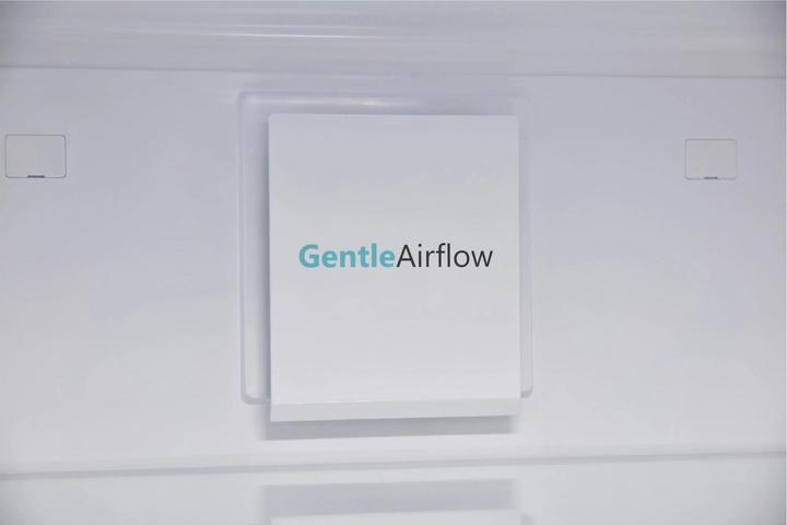 Actual product image Sharp SJ-BA09RHXWC-EU (294 l)