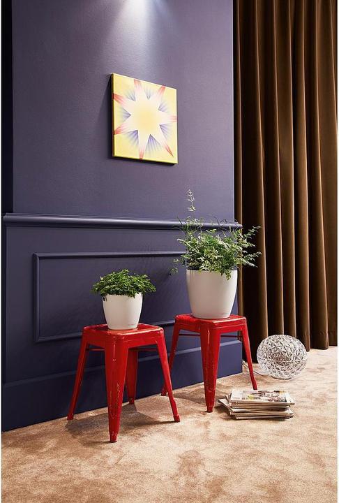 Immagine prodotto Lechuza Colore Classico (21.50 cm)